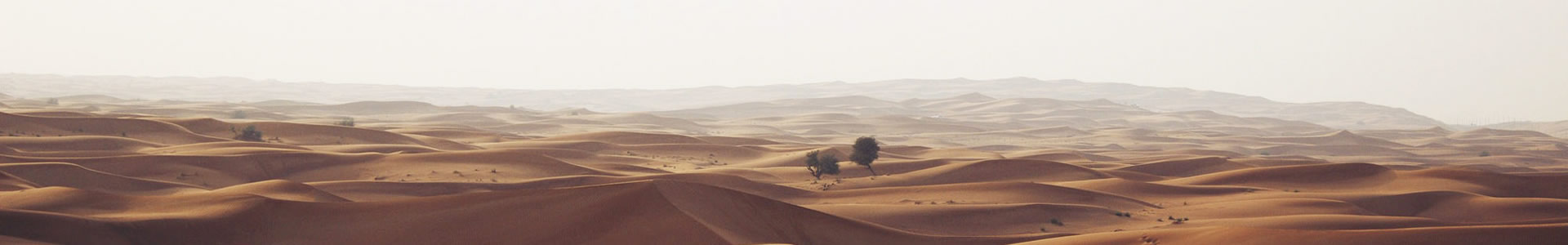 ݹʻ޹˾